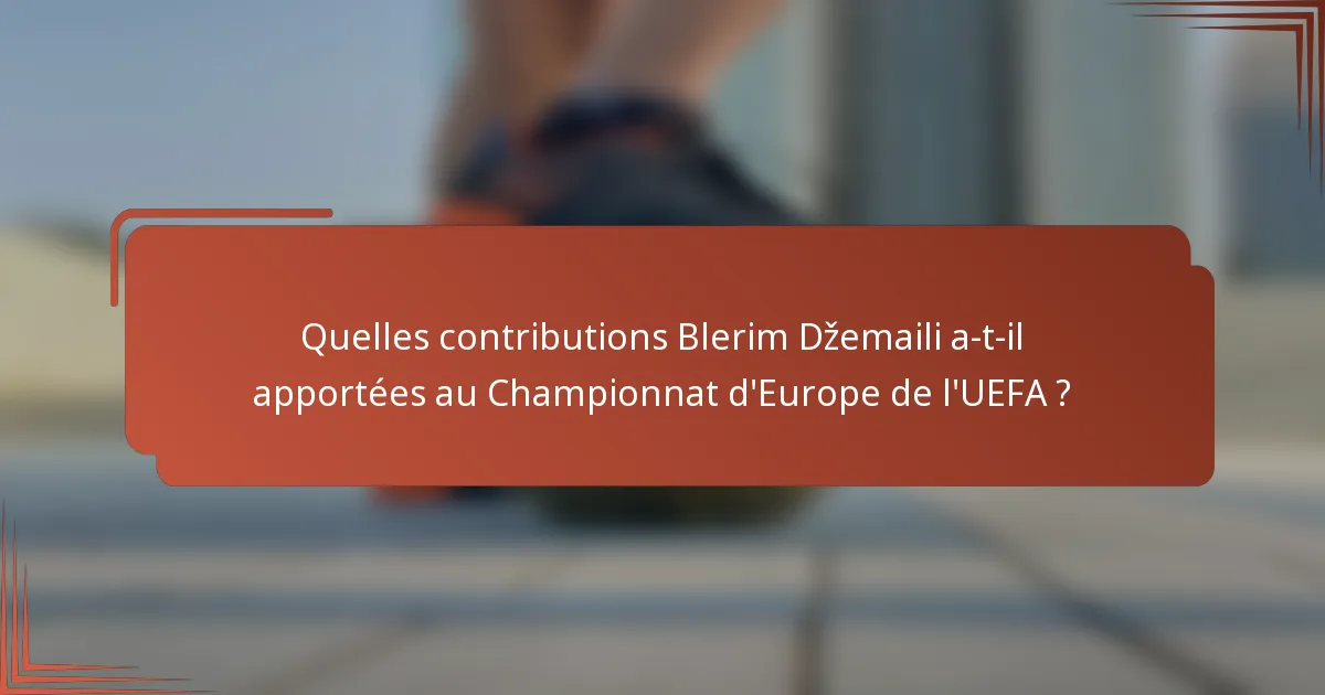 Quelles contributions Blerim Džemaili a-t-il apportées au Championnat d'Europe de l'UEFA ?