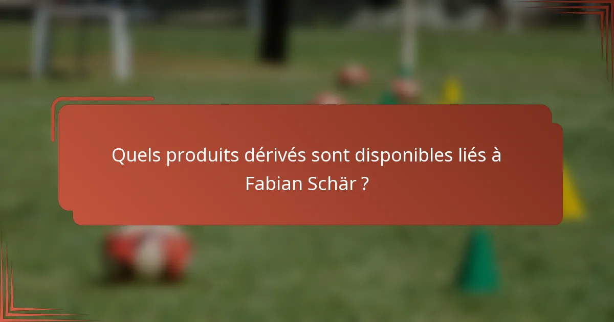 Quels produits dérivés sont disponibles liés à Fabian Schär ?